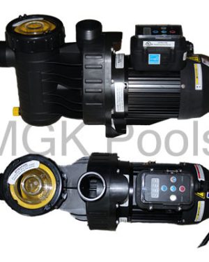 Speck A91 Pool Pump - Inground Variable Speed Swimming Pool Pump