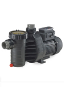 Speck A91 Inground Variable Speed Pump
