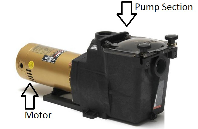 pool-pump-and-motor-unit - MGK Pools Inc hayward inground pool pump and motor illustration