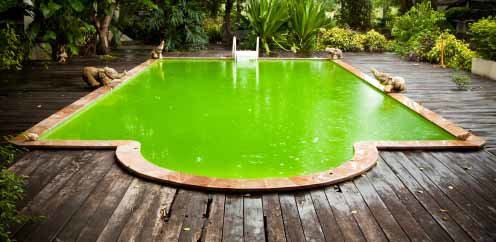green pool